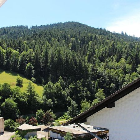 Ferienwohnung Schwarzwaldblick Bad Rippoldsau-Schapbach Екстер'єр фото
