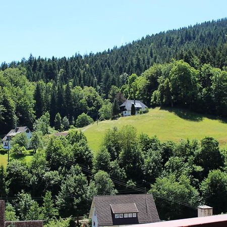 Ferienwohnung Schwarzwaldblick Bad Rippoldsau-Schapbach Екстер'єр фото