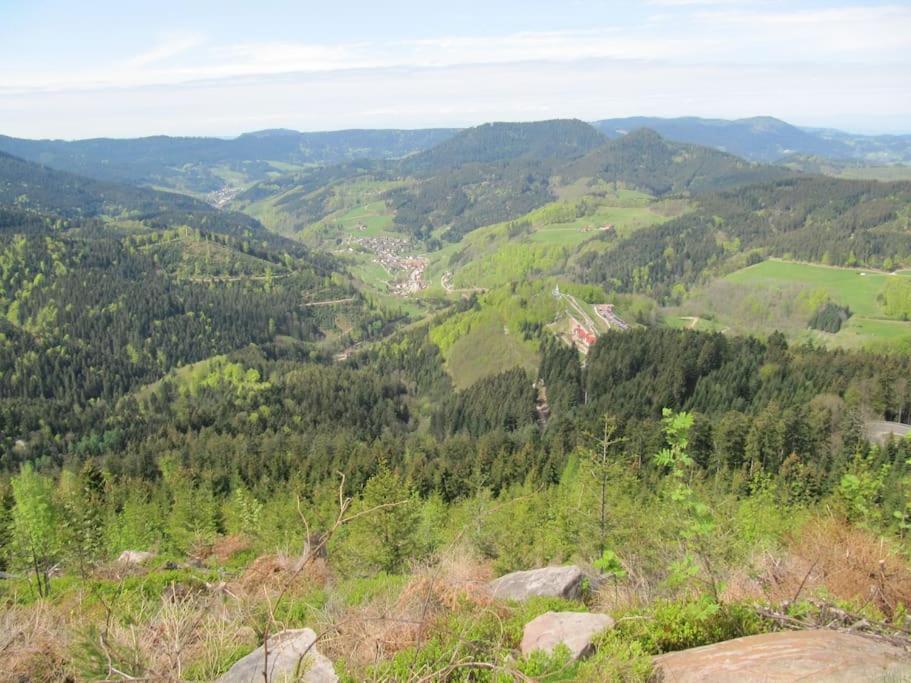 Ferienwohnung Schwarzwaldblick Bad Rippoldsau-Schapbach Екстер'єр фото