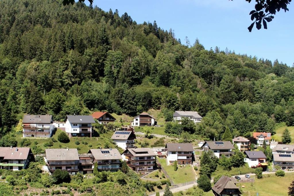 Ferienwohnung Schwarzwaldblick Bad Rippoldsau-Schapbach Екстер'єр фото