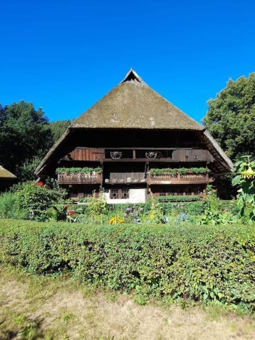 Ferienwohnung Schwarzwaldblick Bad Rippoldsau-Schapbach Екстер'єр фото