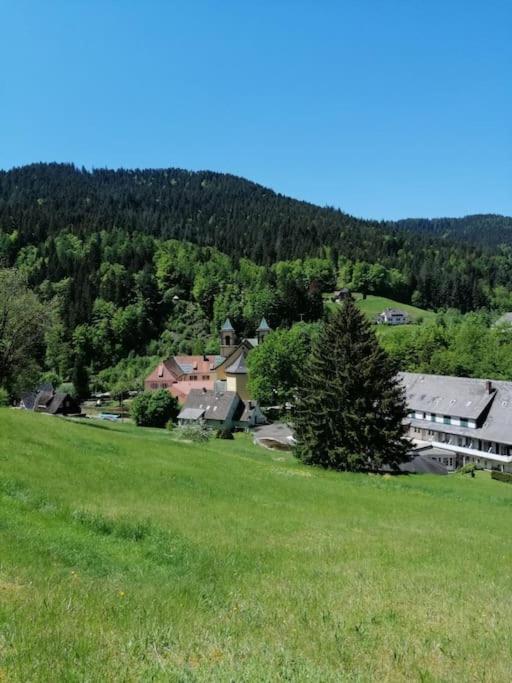 Ferienwohnung Schwarzwaldblick Bad Rippoldsau-Schapbach Екстер'єр фото