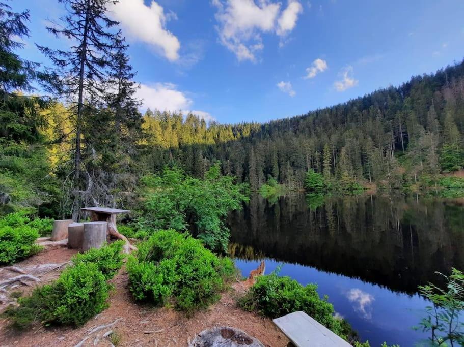 Ferienwohnung Schwarzwaldblick Bad Rippoldsau-Schapbach Екстер'єр фото