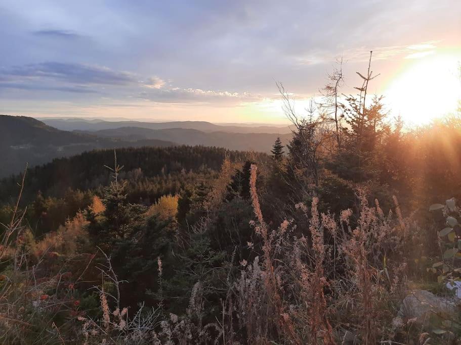 Ferienwohnung Schwarzwaldblick Bad Rippoldsau-Schapbach Екстер'єр фото
