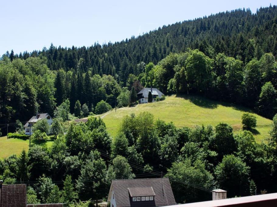 Ferienwohnung Schwarzwaldblick Bad Rippoldsau-Schapbach Екстер'єр фото