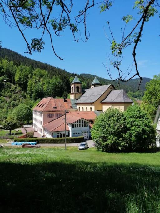 Ferienwohnung Schwarzwaldblick Bad Rippoldsau-Schapbach Екстер'єр фото