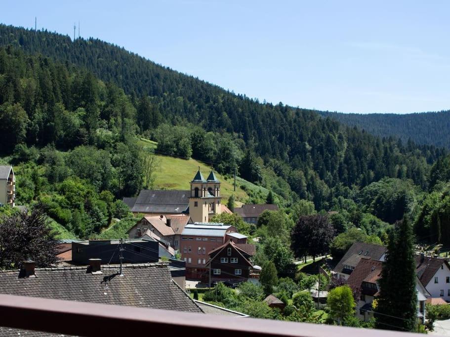 Ferienwohnung Schwarzwaldblick Bad Rippoldsau-Schapbach Екстер'єр фото