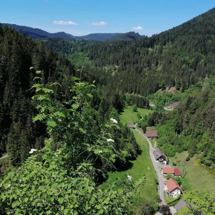 Ferienwohnung Schwarzwaldblick Bad Rippoldsau-Schapbach Екстер'єр фото