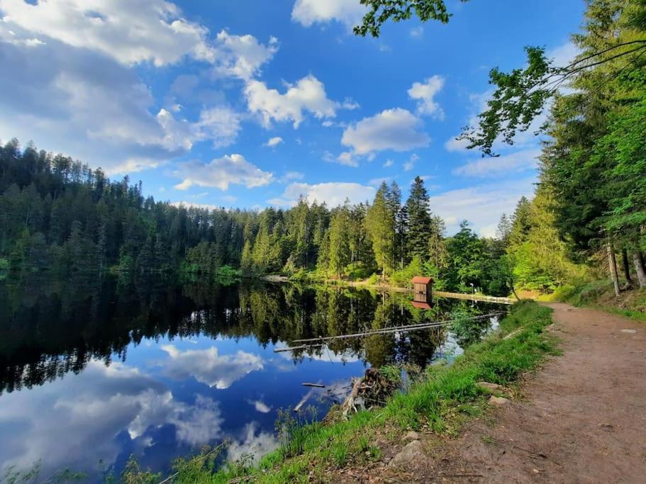 Ferienwohnung Schwarzwaldblick Bad Rippoldsau-Schapbach Екстер'єр фото