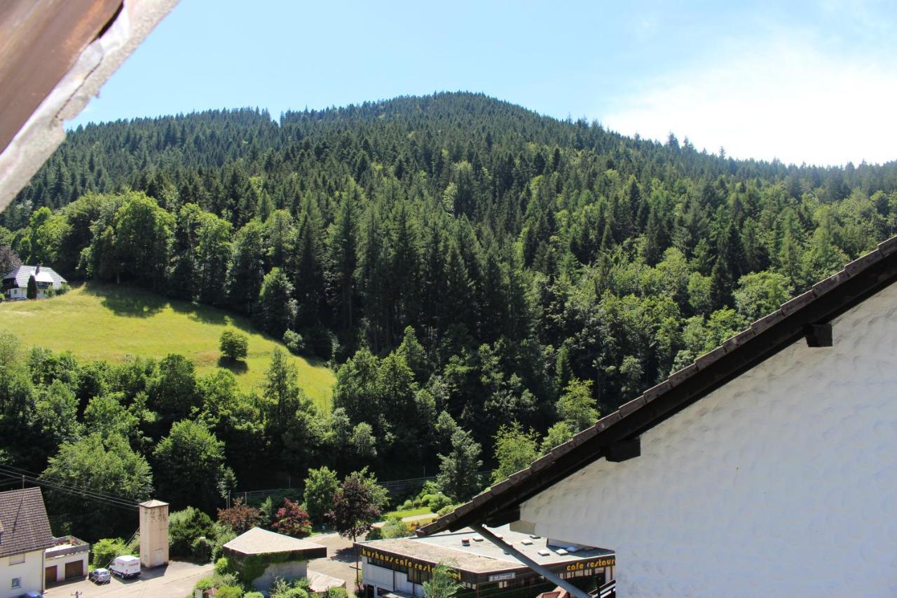 Ferienwohnung Schwarzwaldblick Bad Rippoldsau-Schapbach Екстер'єр фото
