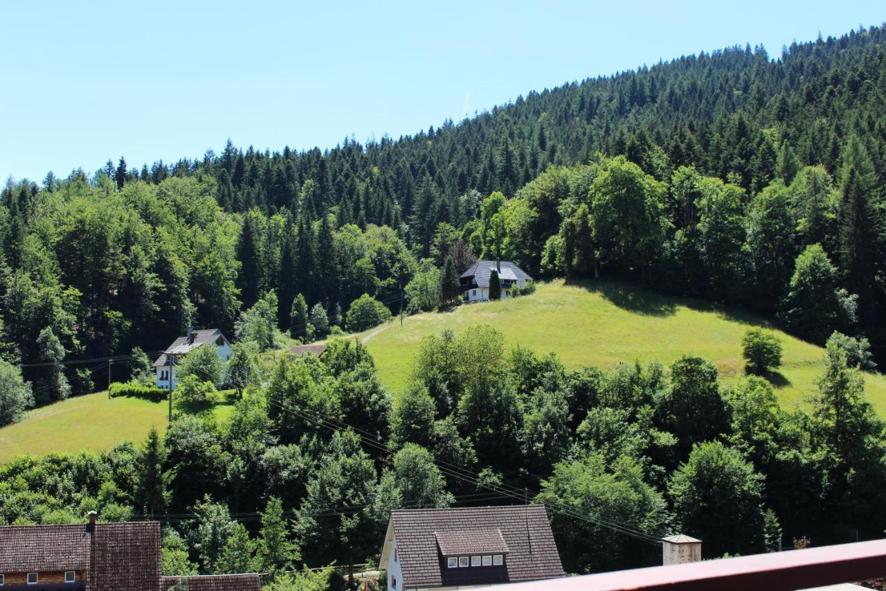 Ferienwohnung Schwarzwaldblick Bad Rippoldsau-Schapbach Екстер'єр фото